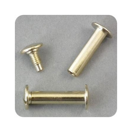 Brass buried screws - Pack of 100 pieces - Various sizes