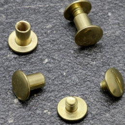 Brass buried screws - Pack of 100 pieces - Various sizes